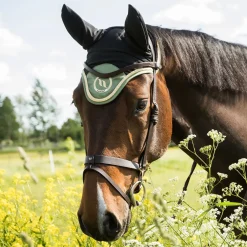Back On Track Night Collection Bonnet Cheval