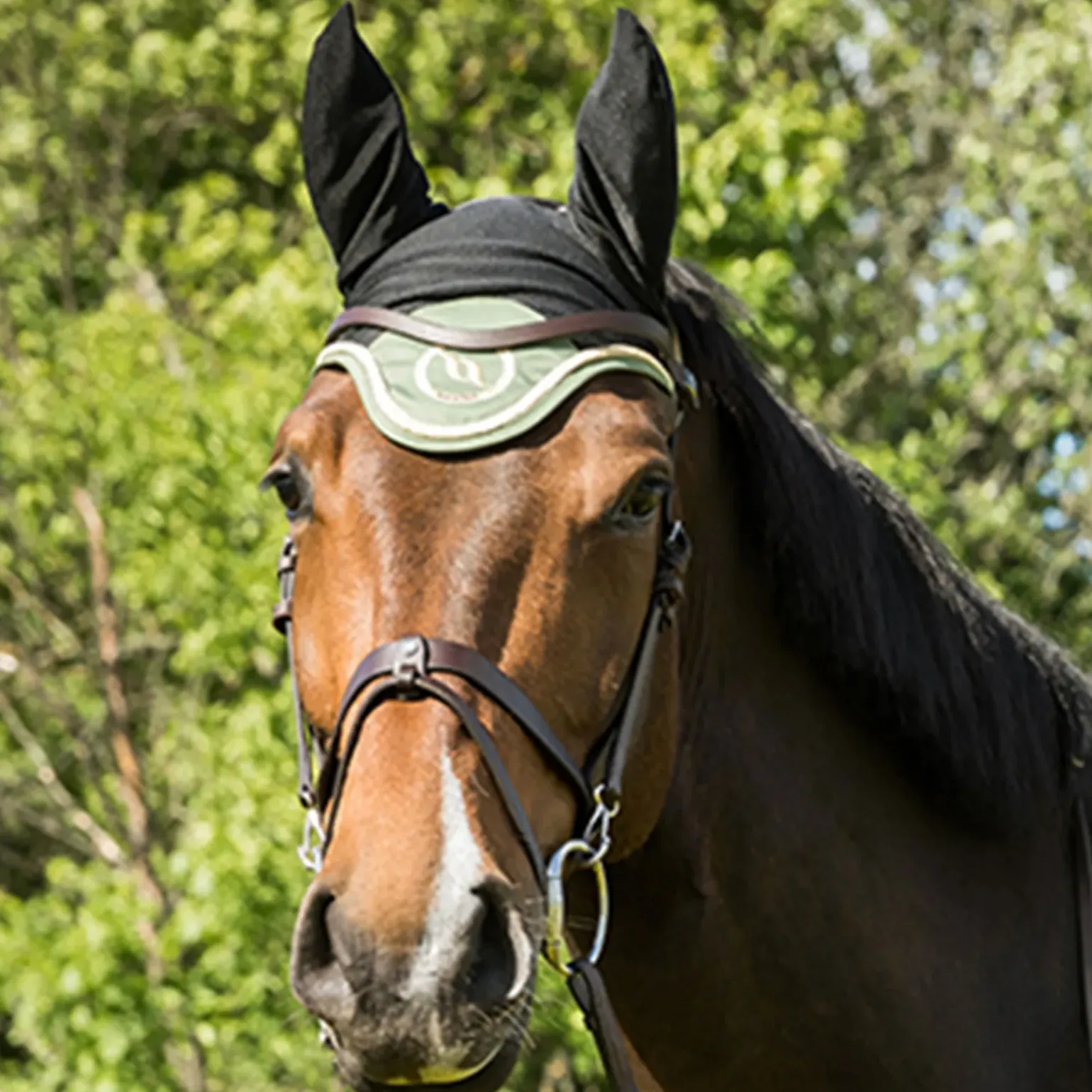 Back On Track Night Collection Bonnet Cheval