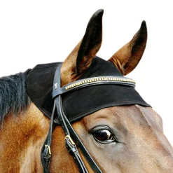 Back On Track, Protege-Cou Pour Cheval