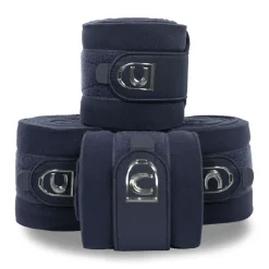 Bandes Cavallo Hiva