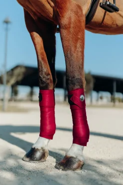 Bandes Pour Poney Horze Ella