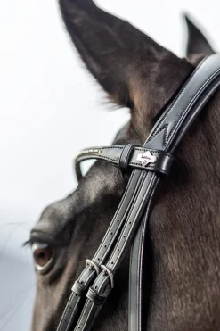 Bride Dressage Classique Lemieux