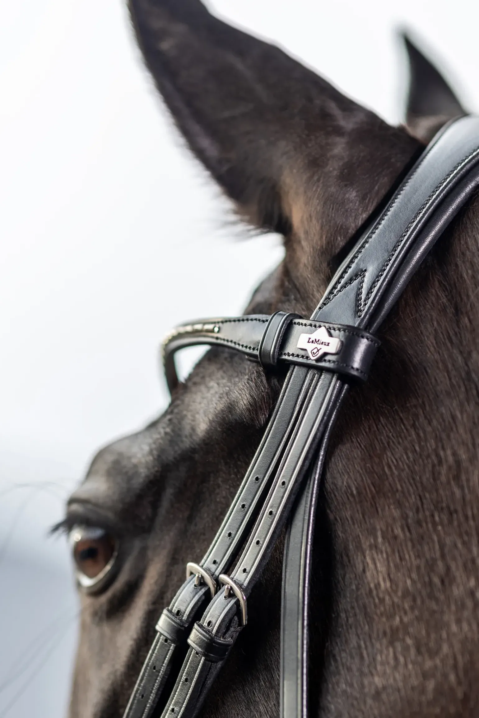 Bride Dressage Classique Lemieux
