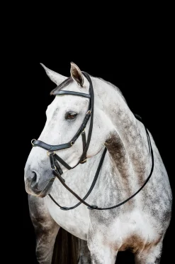 Bridon Horseware Rambo Micklem 2 Multi