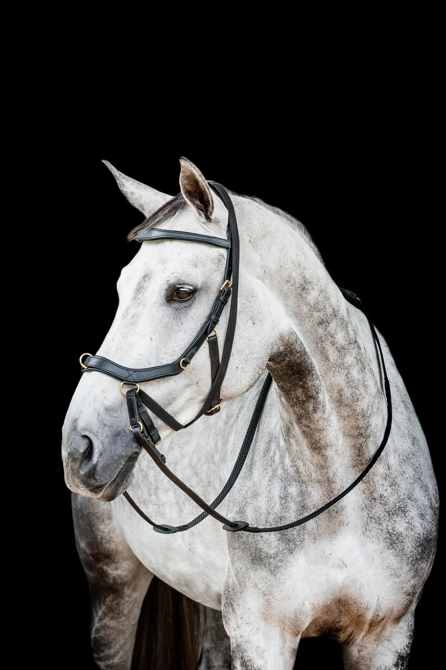Bridon Horseware Rambo Micklem 2 Multi