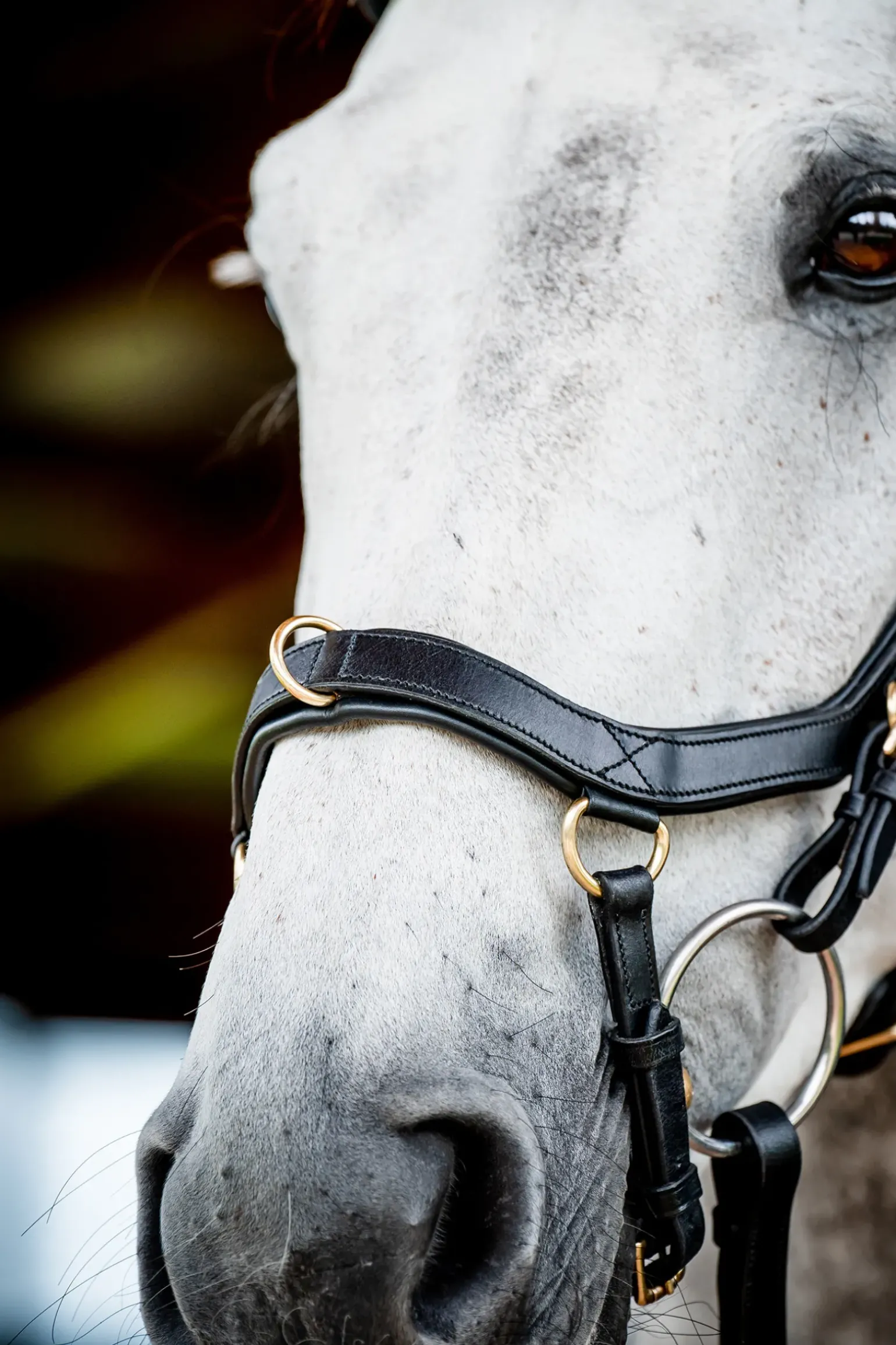 Bridon Horseware Rambo Micklem 2 Multi