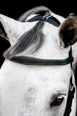 Bridon Horseware Rambo Micklem 2 Multi