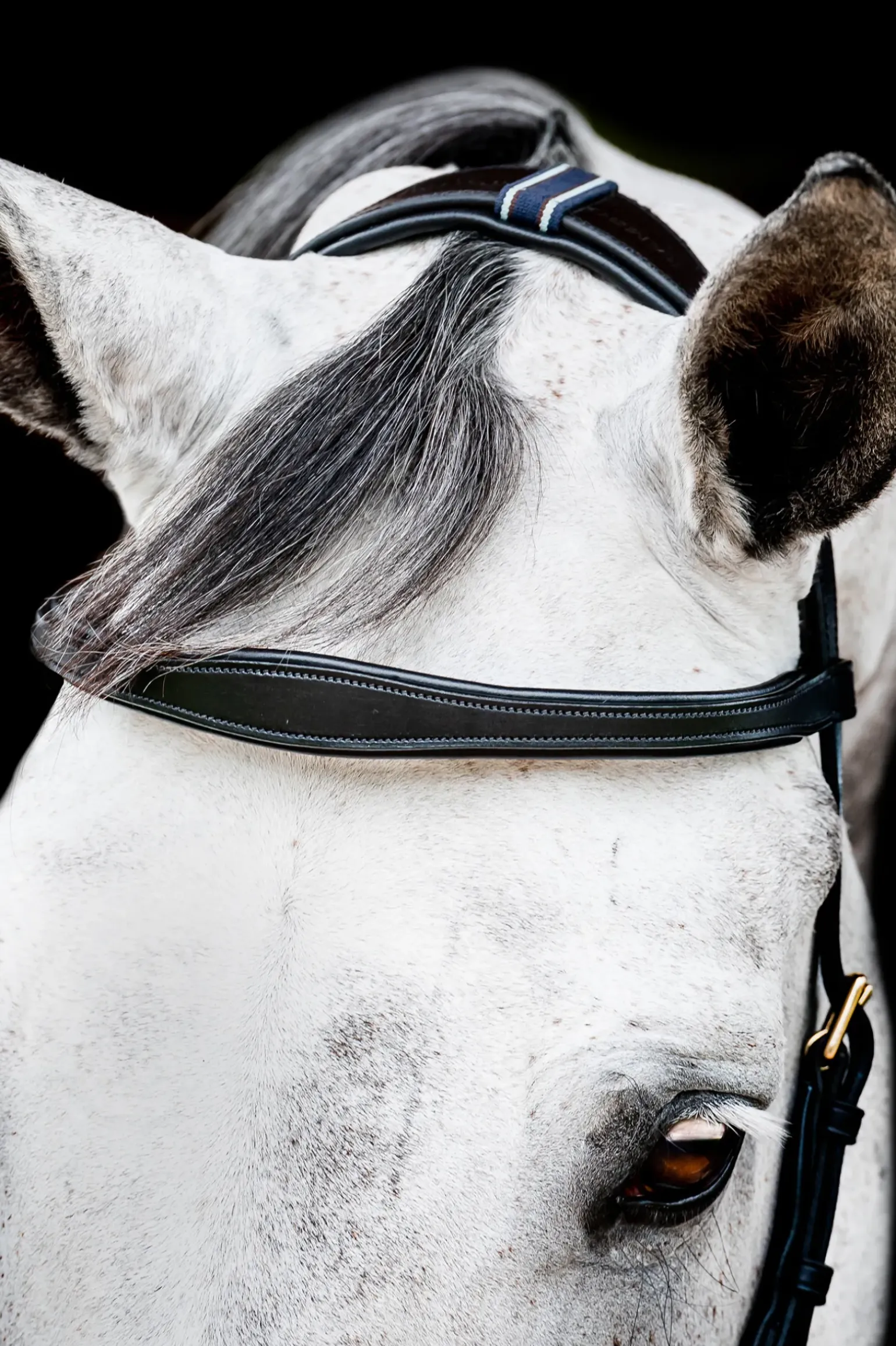 Bridon Horseware Rambo Micklem 2 Multi