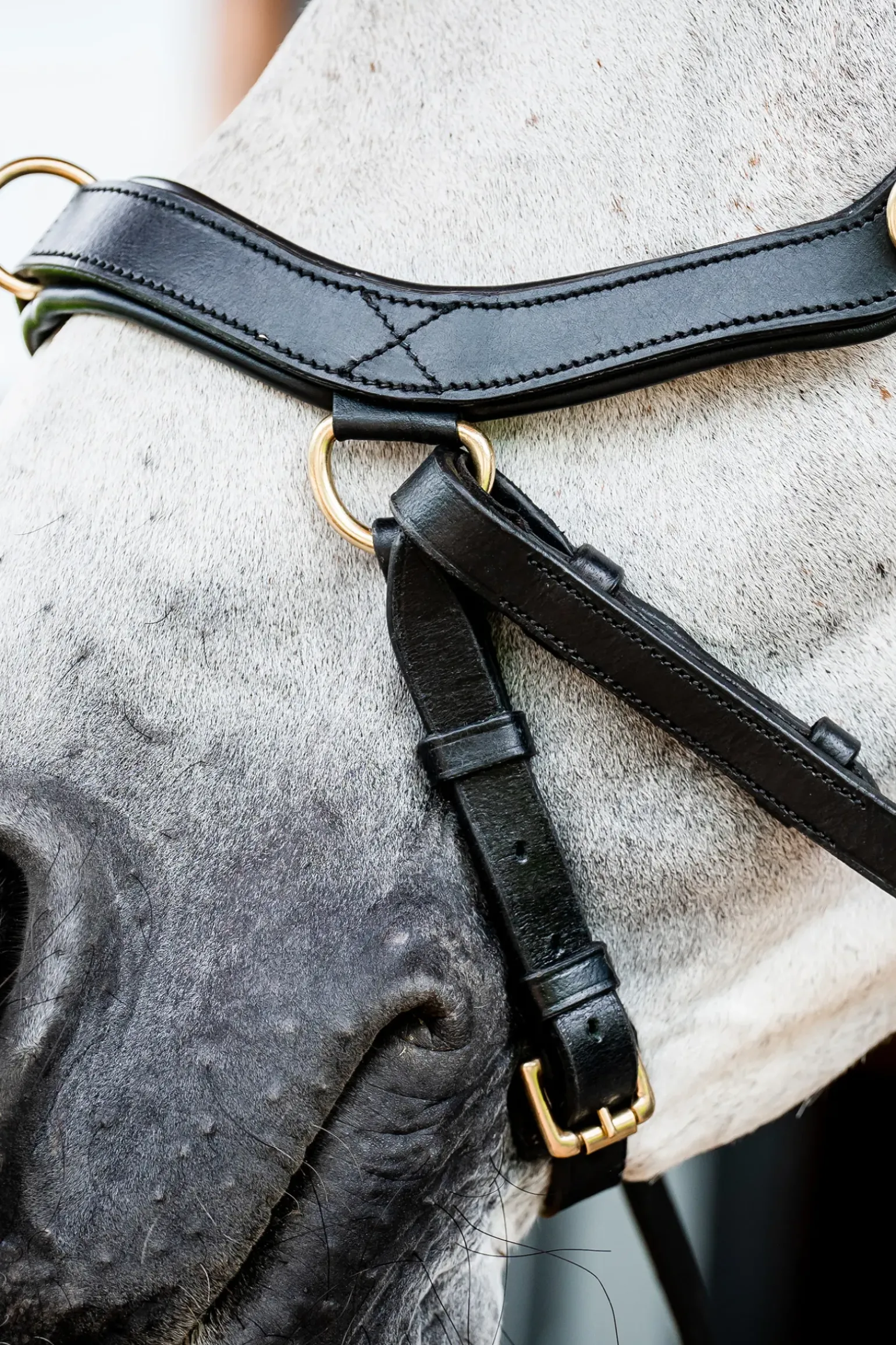 Bridon Horseware Rambo Micklem 2 Multi