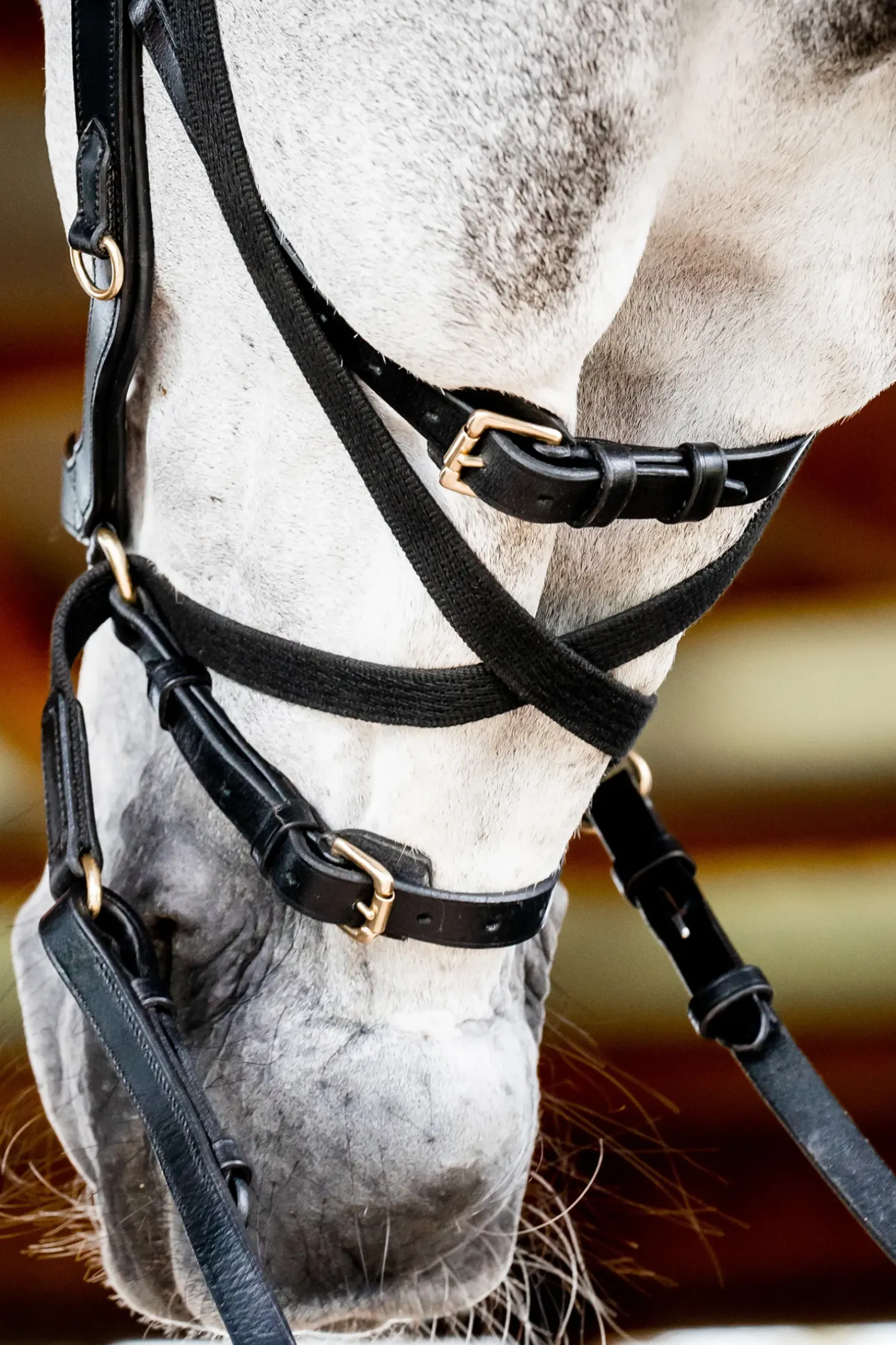 Bridon Horseware Rambo Micklem 2 Multi