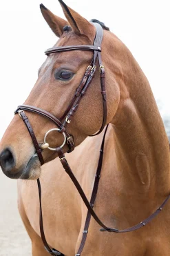 Bridon Matelasse A Muserolle Combinee Horze Constance