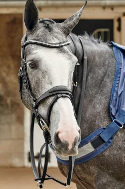 Bridon Perfore John Whitaker Chicago Bling