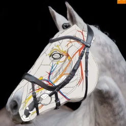 Bridon Schockemohle Equitus Alpha