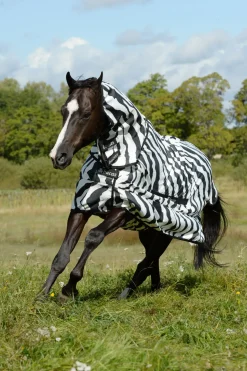 Chemise Anti-Eczéma Zebra Bucas
