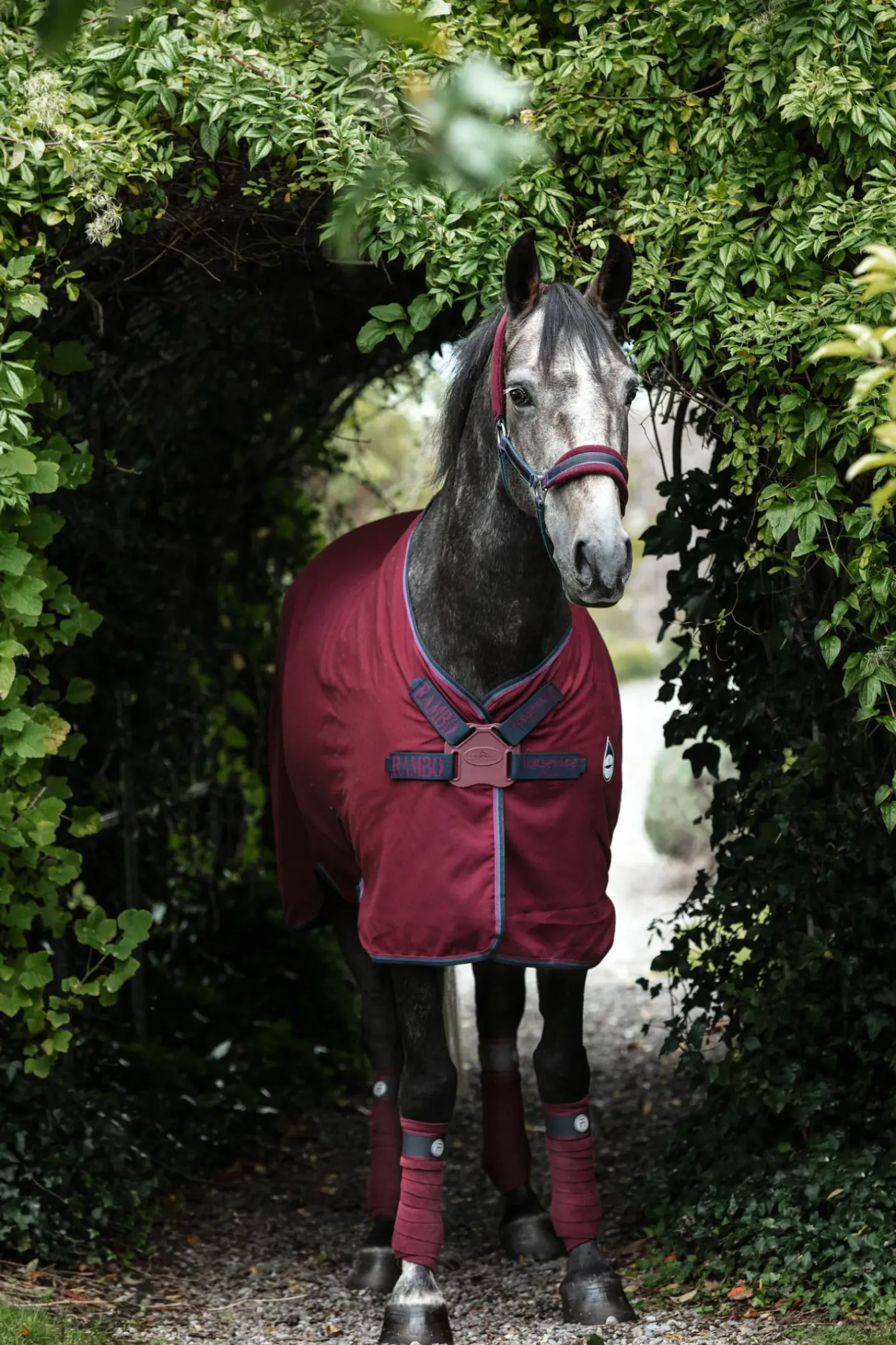 Chemise D'écurie Horseware Rambo Helix Stable, Avec Fermeture Plaque