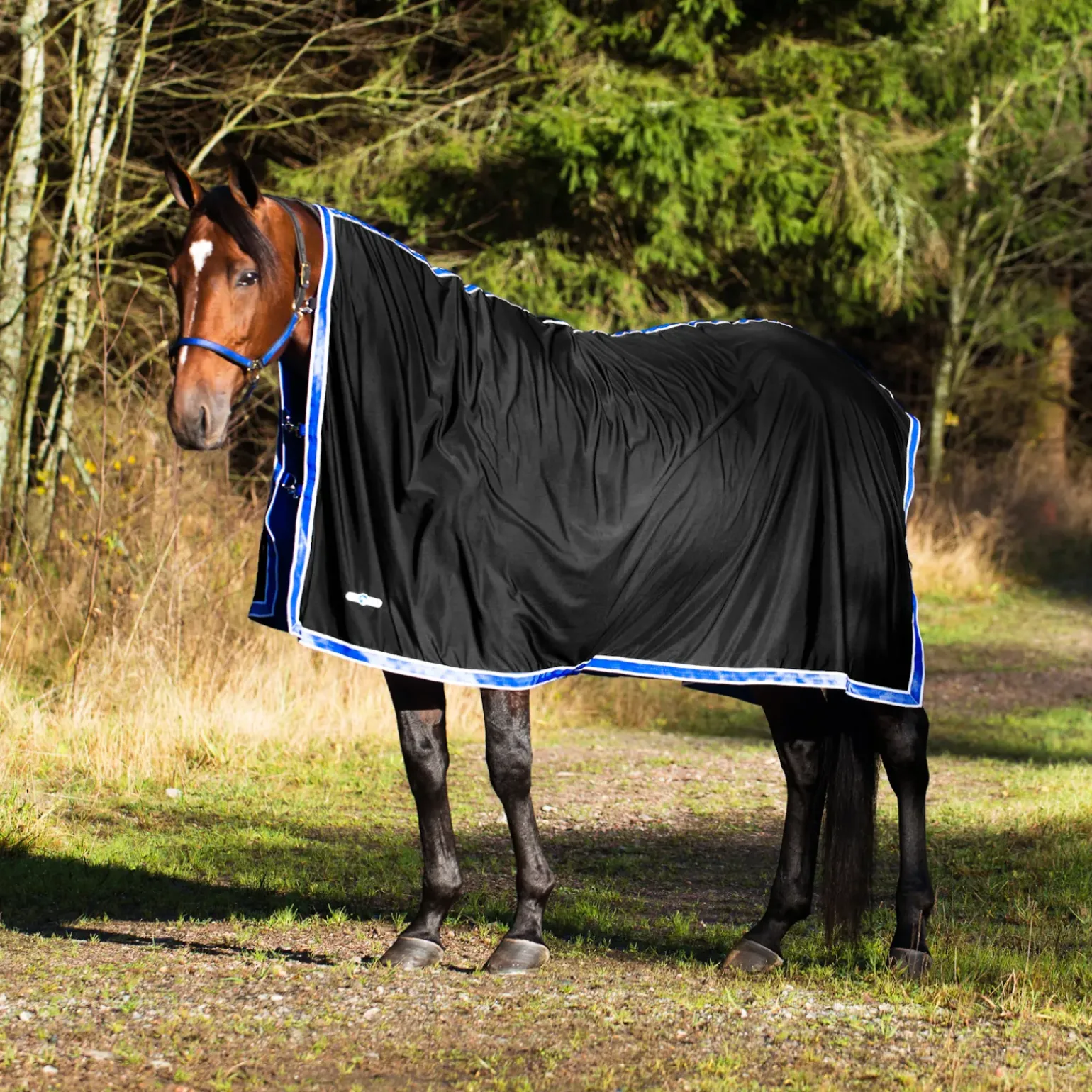 Chemise De Sechage Pritex Finntack Pro