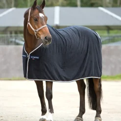 Chemise Eponge Walter B Vertigo