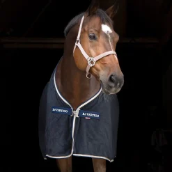 Chemise Eponge Walter B Vertigo