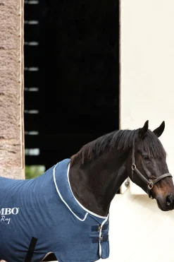 Chemise Sechante Horseware Rambo