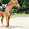 Collier De Chasse Kavalkade Leyla