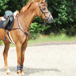 Collier De Chasse Kavalkade Leyla