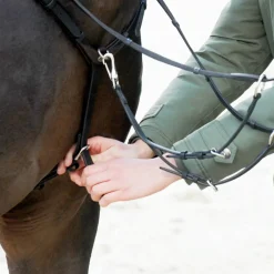 Collier De Chasse Kavalkade Everyday