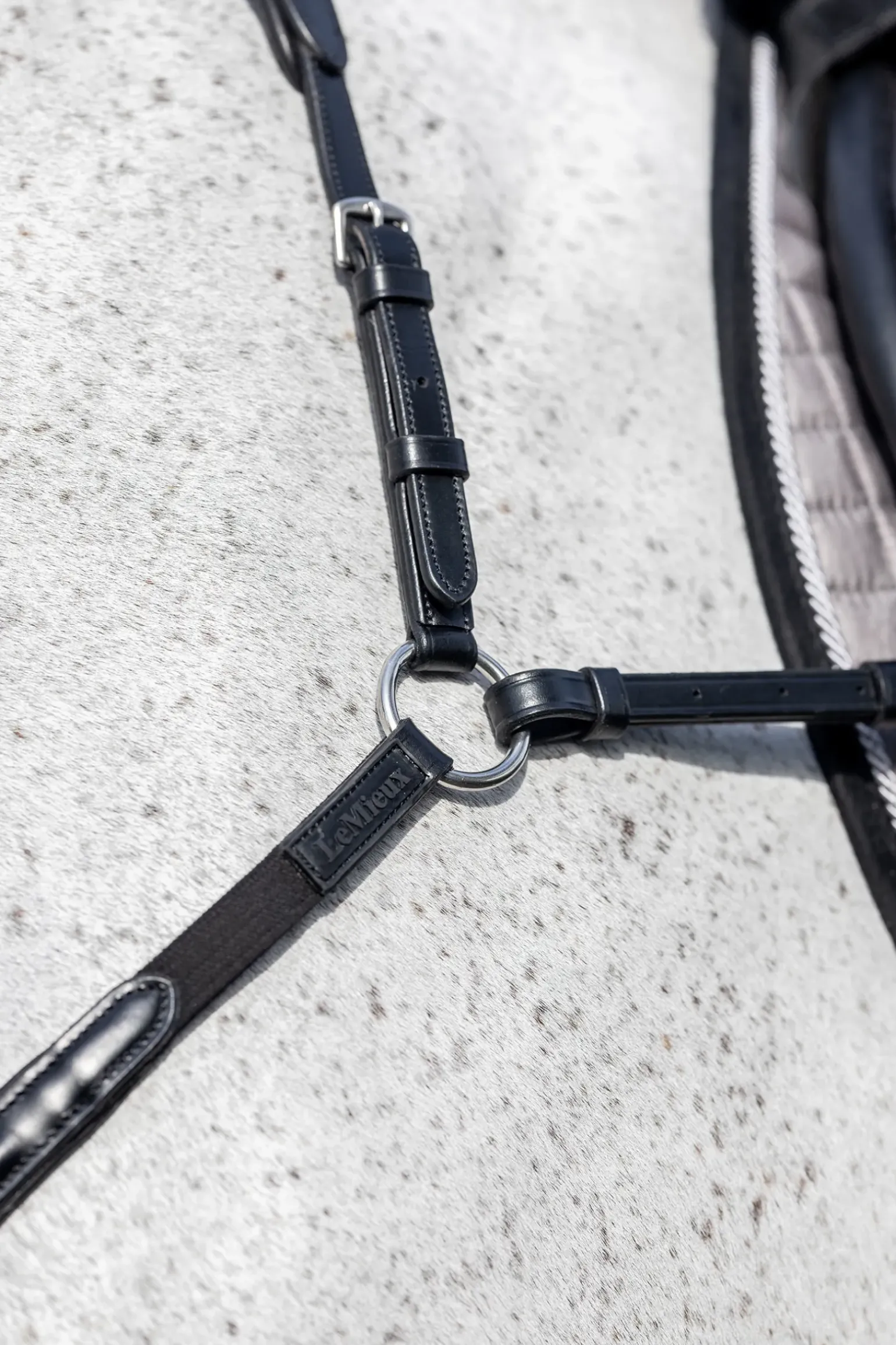 Collier De Chasse Lemieux Avec Martingale Amovible