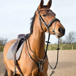 Collier De Chasse Reglable Horze