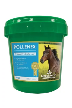 Complement Alimentaire De Soin Pollen Global Herbs Pollene-X, 500 G