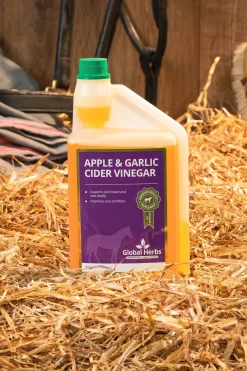 Complement Alimentaire De Soin Pour Equins¨Vinaigre De Cidre De Pomme + Ail Global Herbs Apple & Garlic Cider Vinegar, 1 L