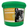 Complement Alimentaire De Soin Developpement Des Muscles Global Herbs Muscle Up, 1 Kg