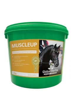Complement Alimentaire De Soin Developpement Des Muscles Global Herbs Muscle Up, 1 Kg