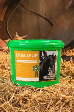 Complement Alimentaire De Soin Developpement Des Muscles Global Herbs Muscle Up, 1 Kg