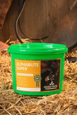 Complement Alimentaire De Soin Anit-Douleur Global Herbs Alphabute Super, 1 Kg