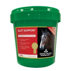 Complement Alimentaire De Soin Prebiotique Global Herbs Gut Support 500 G