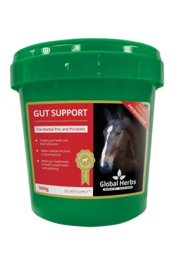 Complement Alimentaire De Soin Prebiotique Global Herbs Gut Support 500 G