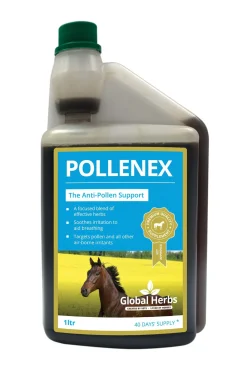 Complement Alimentaire De Soin Pollen Global Herbs Pollene-X, 1 L