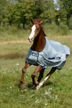 Coupe Classique Buzz-Off