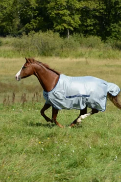 Coupe Classique Buzz-Off