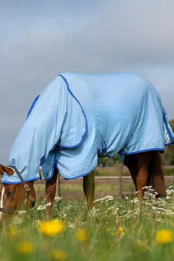 Couverture Anti-Eczéma Horseware Amigo Avec Couvre-Encolure Fixe, Poney