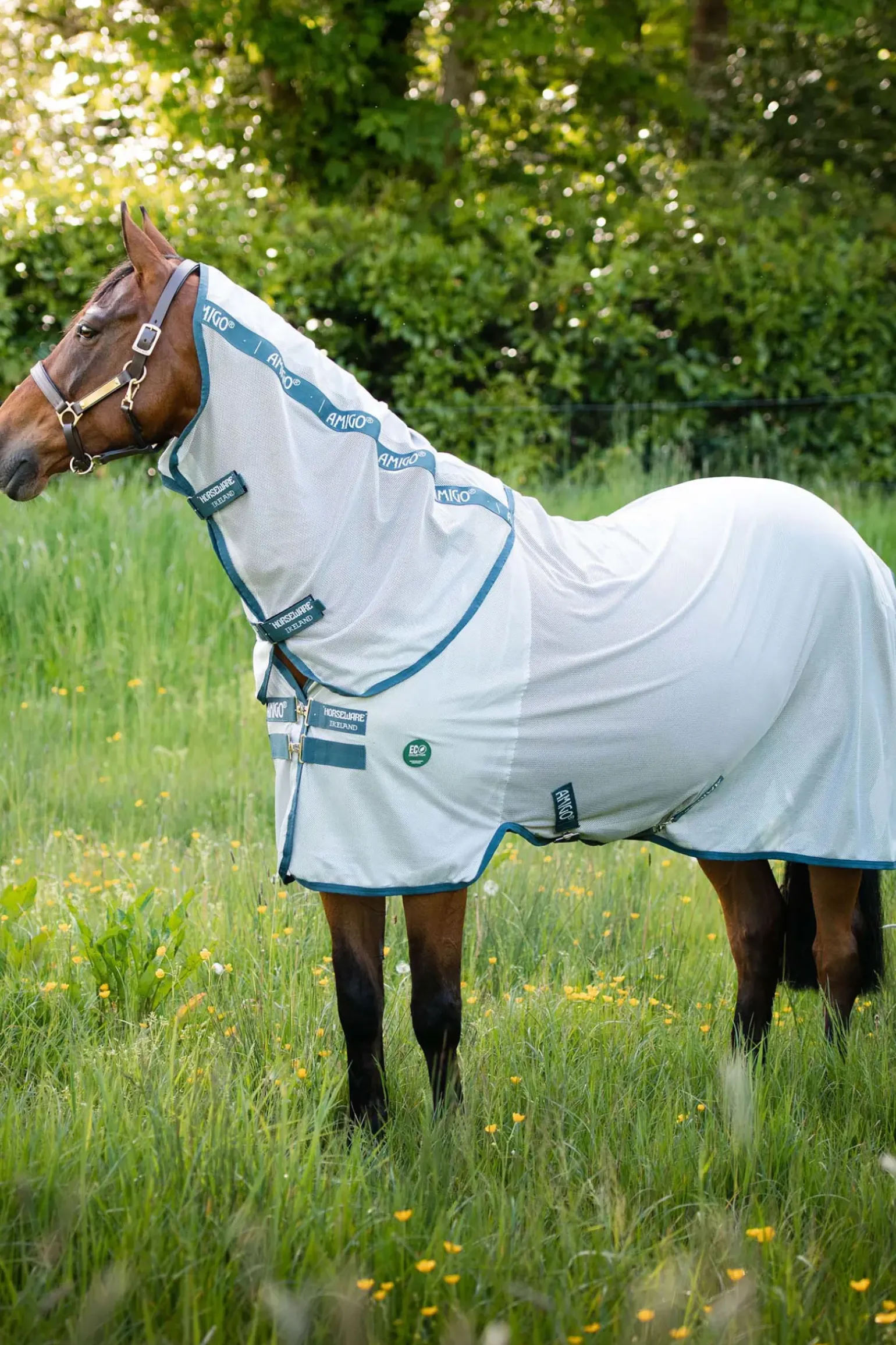 Couverture Anti-Insectes Horseware Ameco Bug