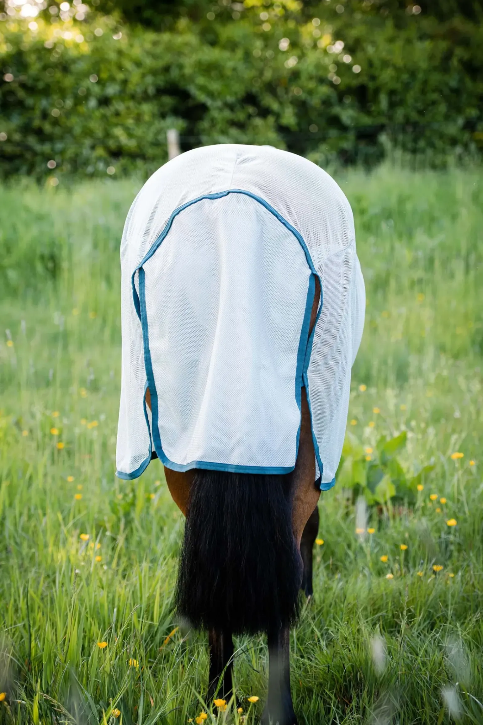 Couverture Anti-Insectes Horseware Ameco Bug