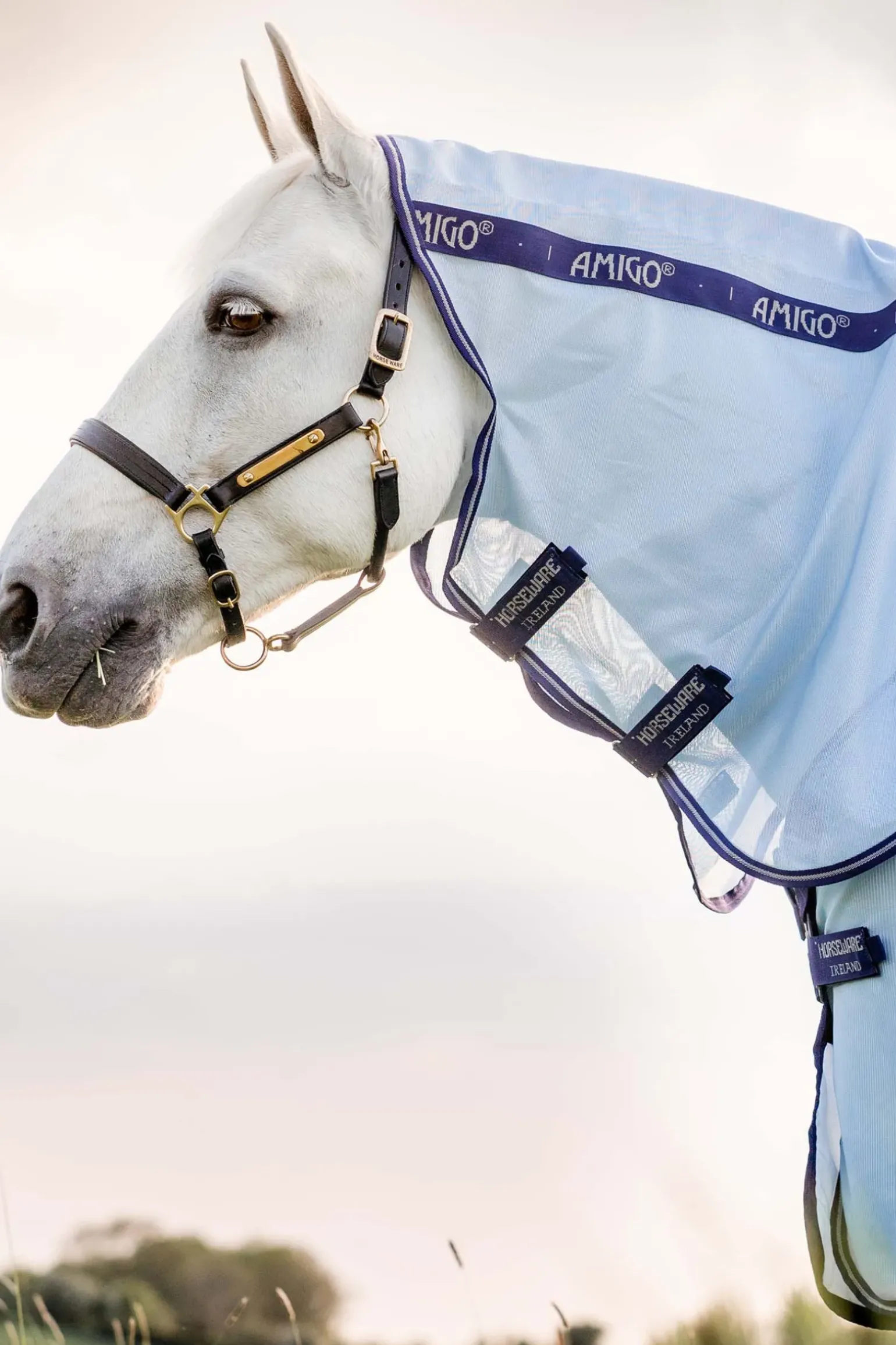 Couverture Anti-Insectes Horseware Amigo Xl