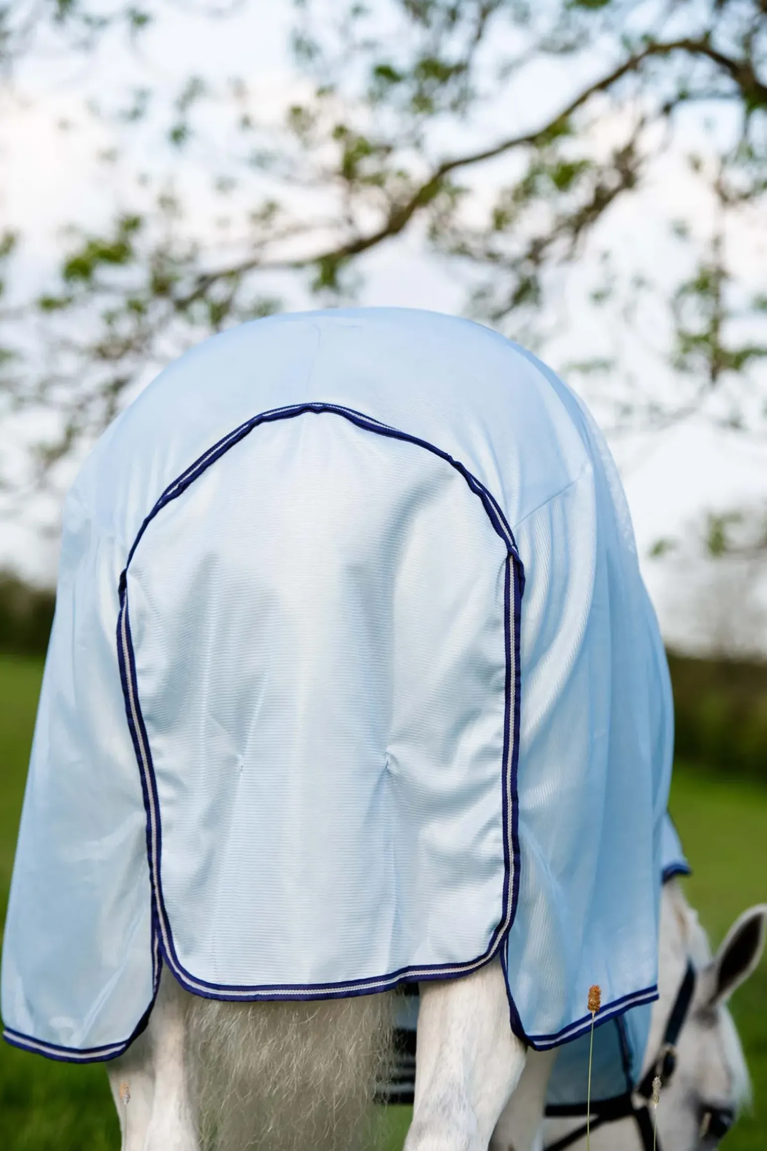 Couverture Anti-Insectes Horseware Amigo Xl