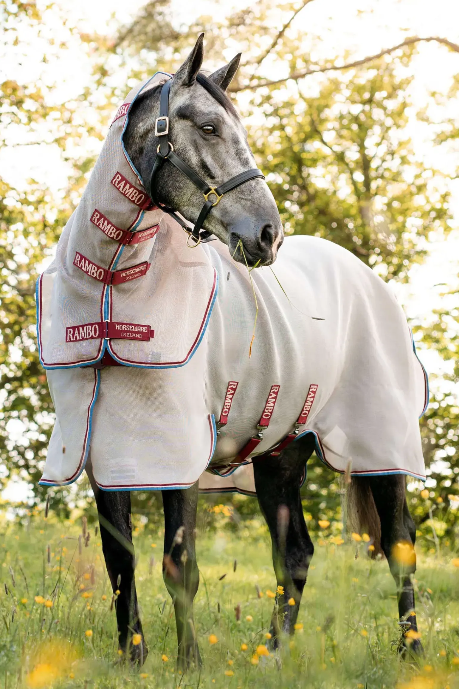 Couverture Anti-Mouches Avec Disqye Horseware Rambo Protector