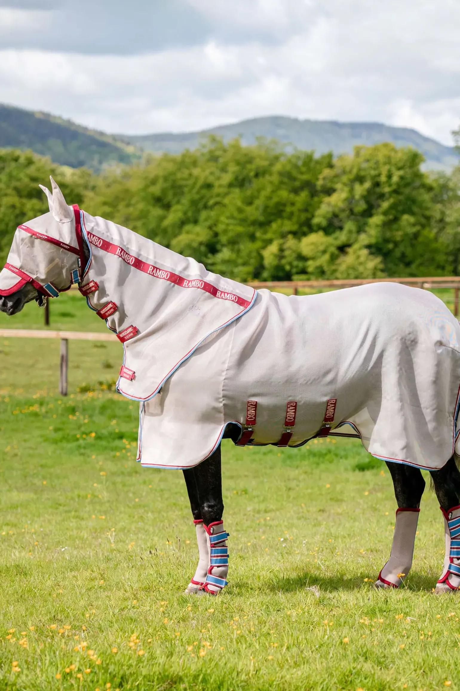 Couverture Anti-Mouches Avec Disqye Horseware Rambo Protector
