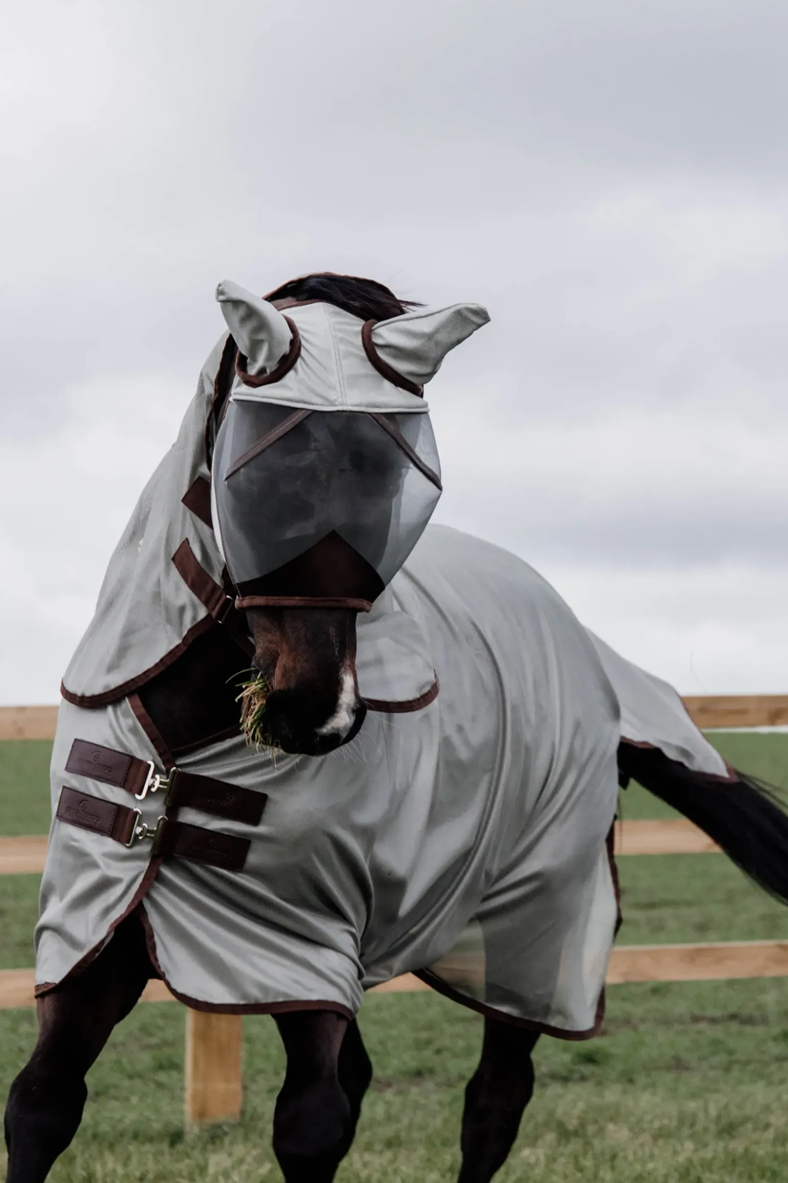 Couverture Anti-Mouches Classic Kentucky Horsewear