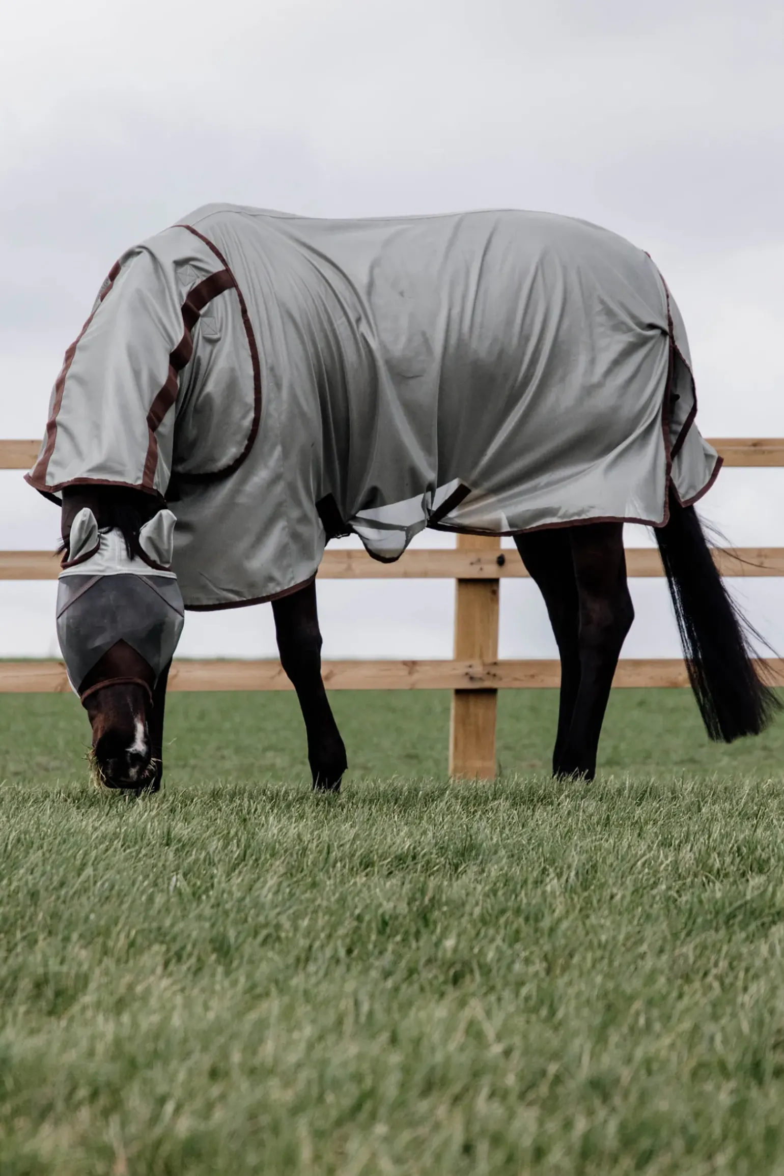 Couverture Anti-Mouches Classic Kentucky Horsewear