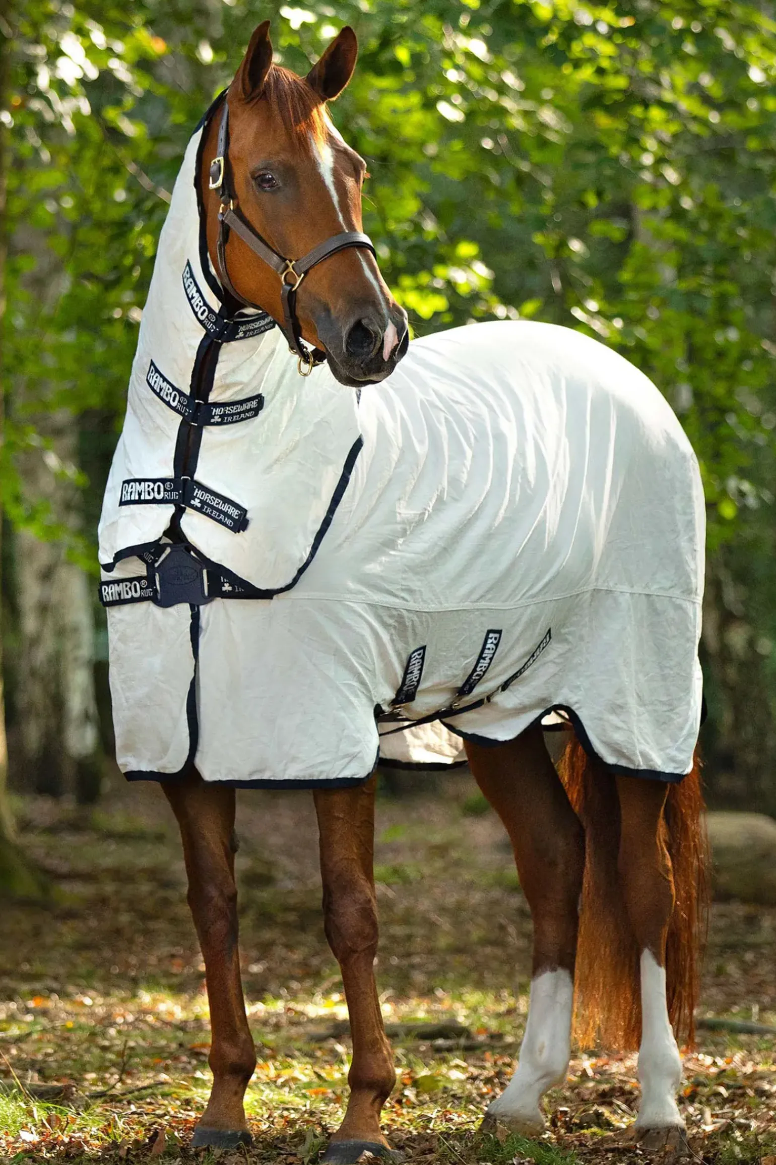 Couverture Anti-Mouches Horseware Rambo Natura
