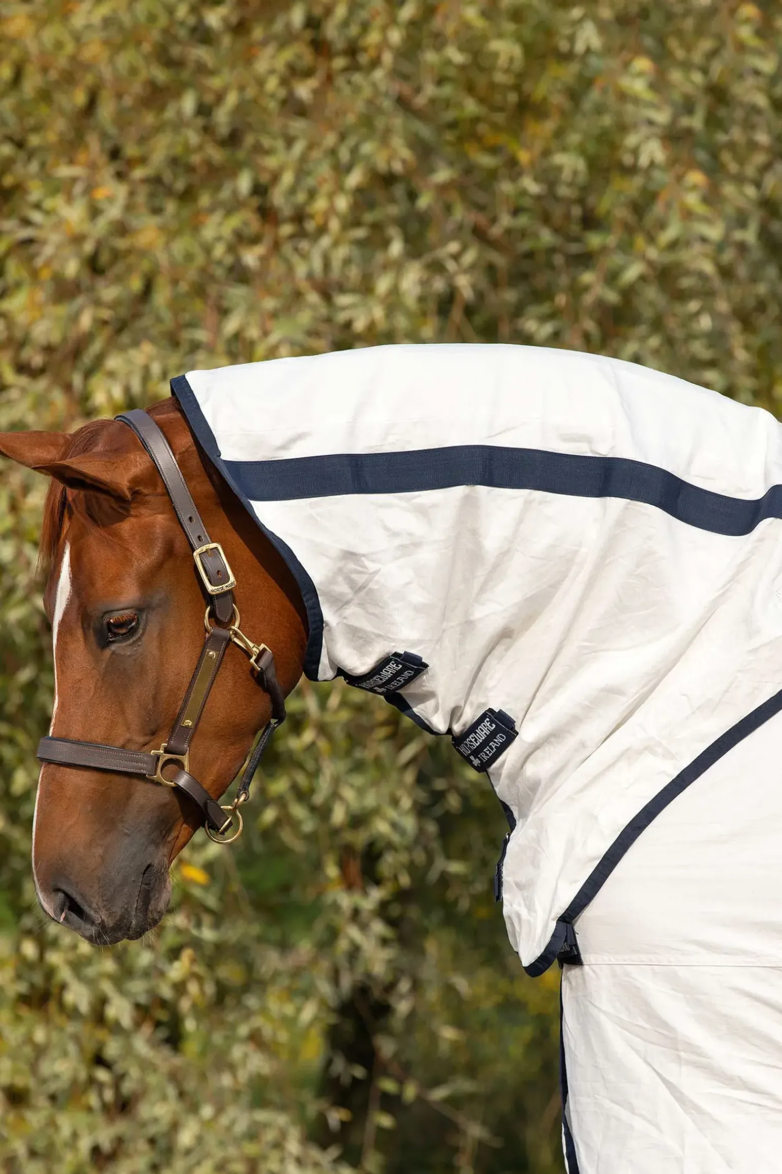Couverture Anti-Mouches Horseware Rambo Natura